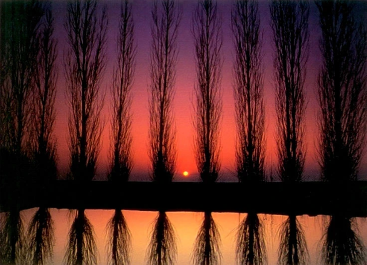 Artwork accompanying Resting Light
